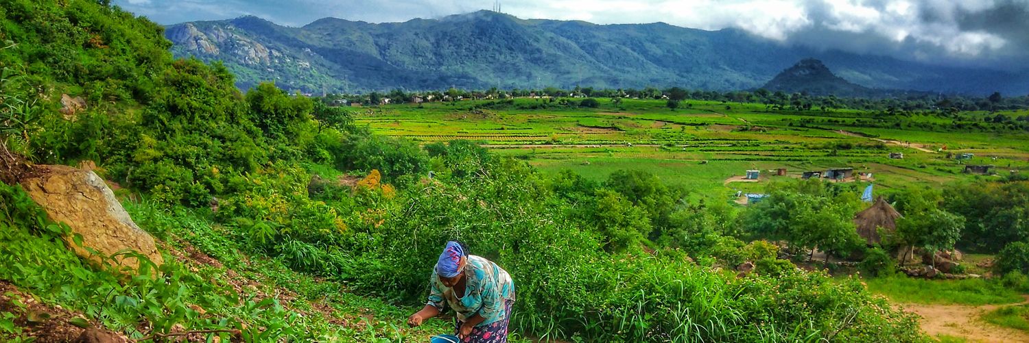 Tini Tini 🇿🇼 banner
