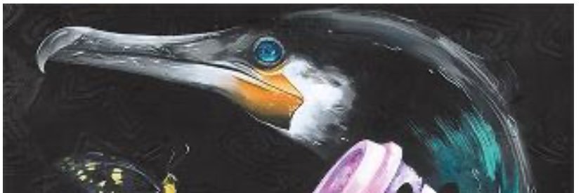 Delightedheron's profile banner image