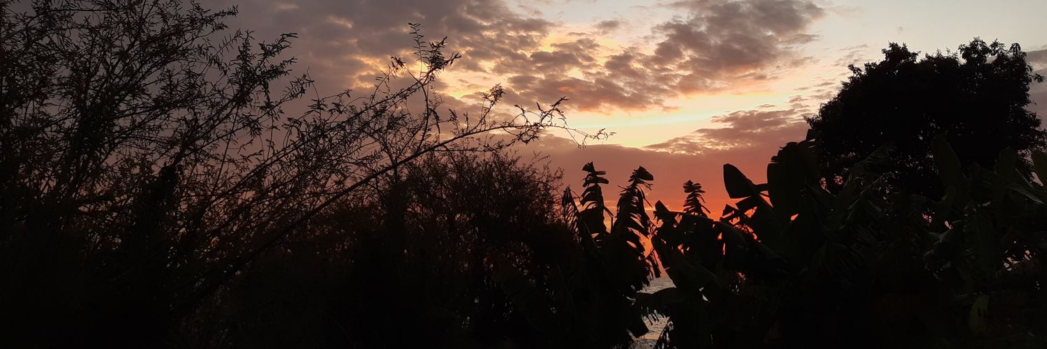 Jachula_fangano's profile banner image
