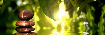 Modern_Healing's profile banner image