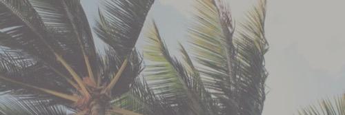 MADHTKYGDR's profile banner image