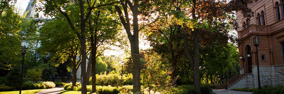 SEED at Northwestern University banner