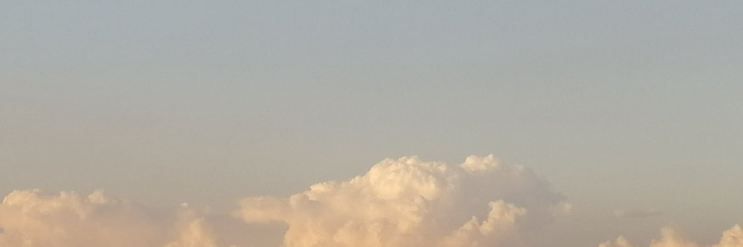 ohohmaryeahl's profile banner image