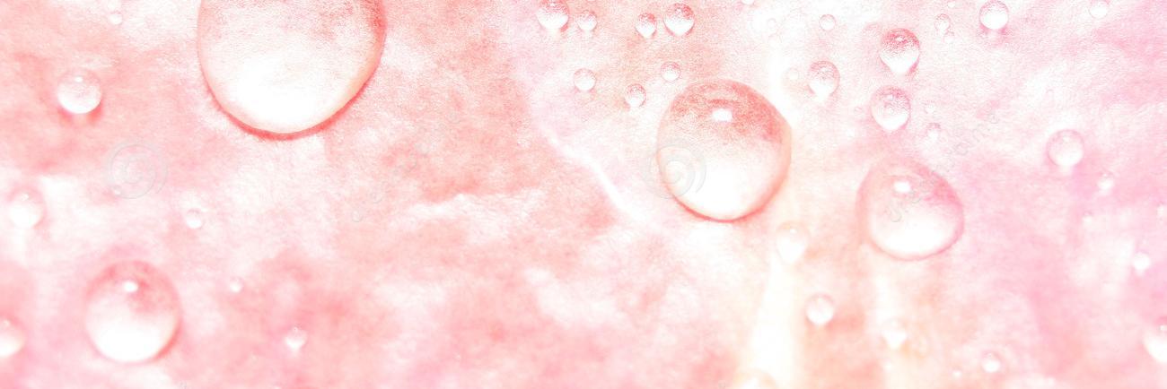 Samantha Evans💙 banner