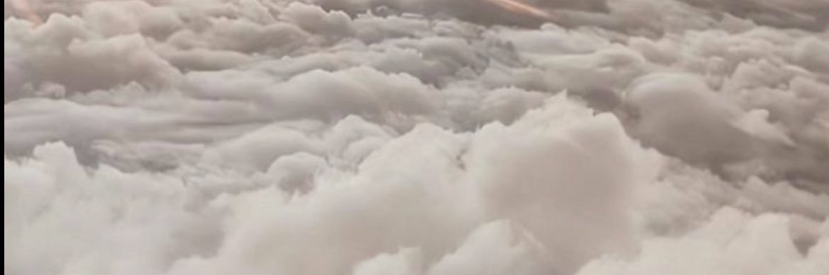 allyprange's profile banner image