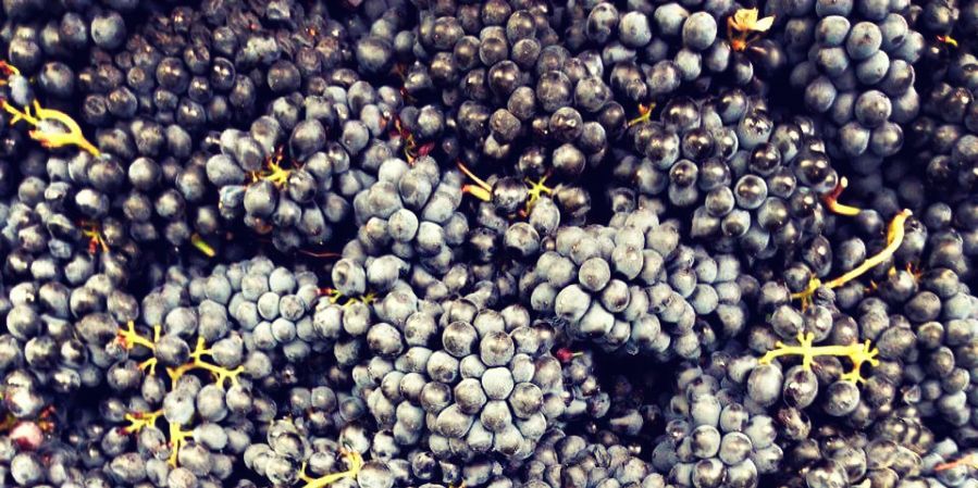 TheWineMusings's profile banner image