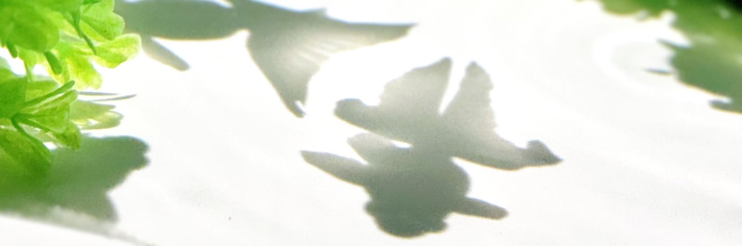 satominmin26's profile banner image
