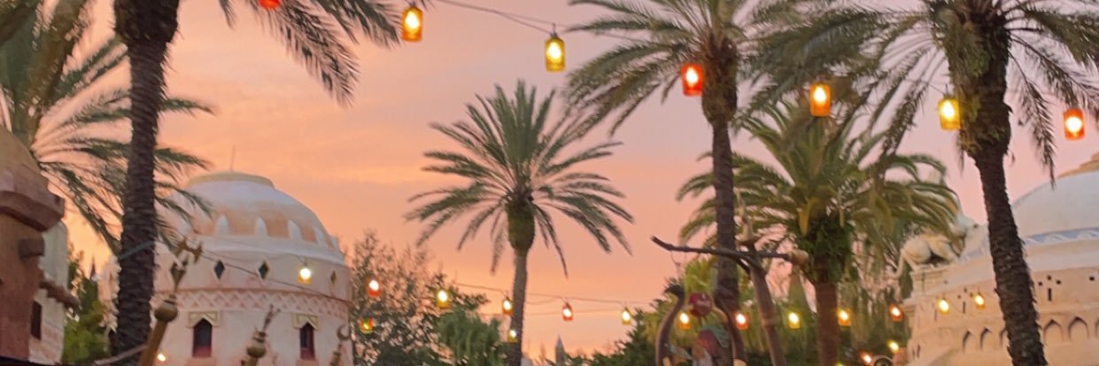sydneyrnelson's profile banner image