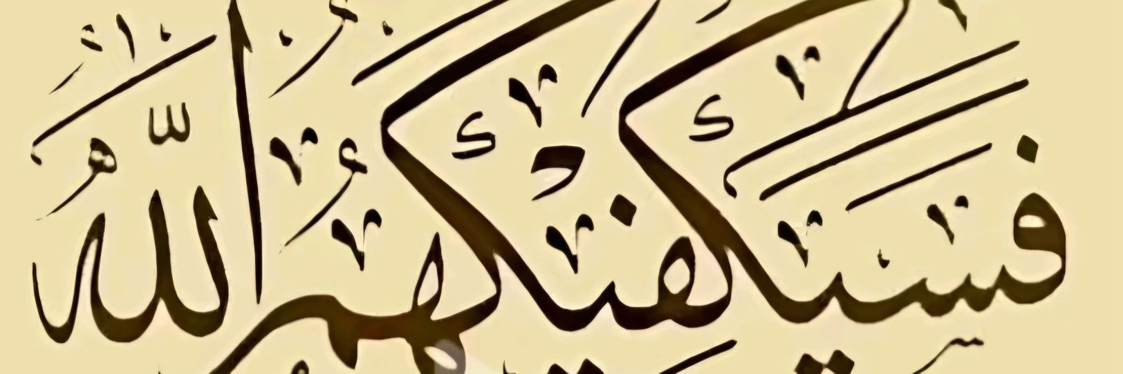 الملكي💚 بطل النخبة💚 banner