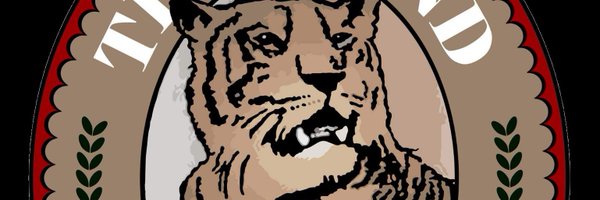 BlindTigerGso Profile Banner