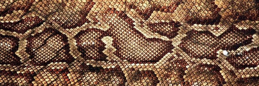 cam_camif's profile banner image