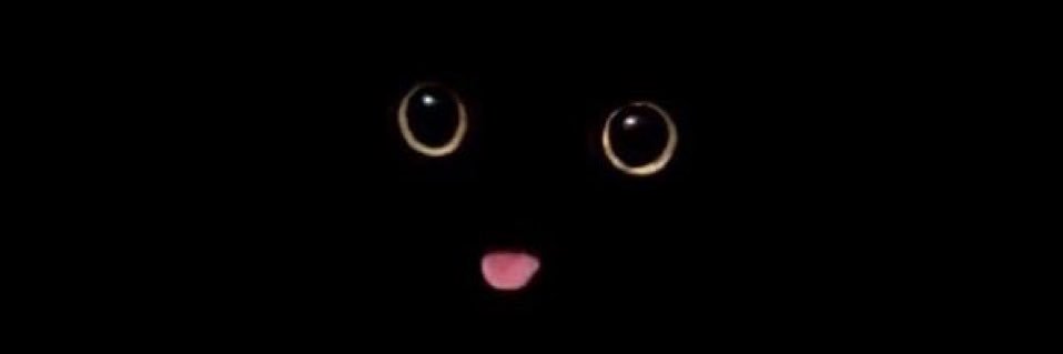 sky_kenobi's profile banner image