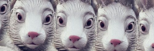 SpittingHares's profile banner image