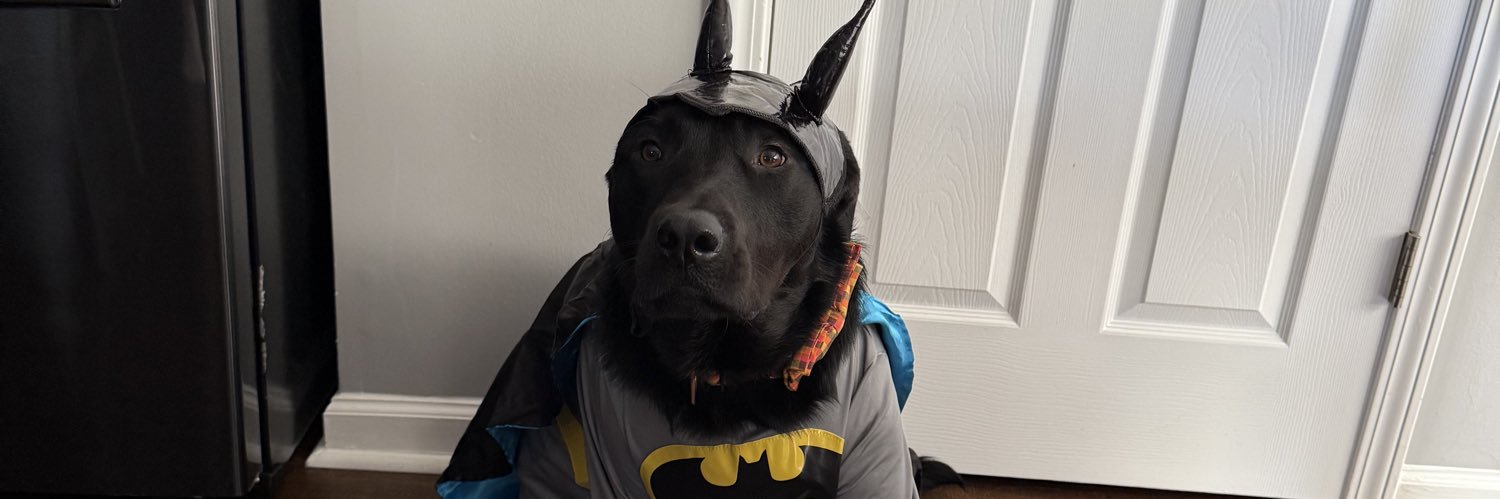 Angela Hundley banner