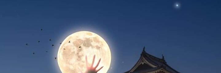 Chechulu07's profile banner image