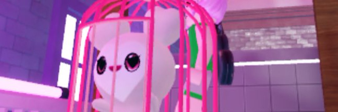 クロエ🐰 banner