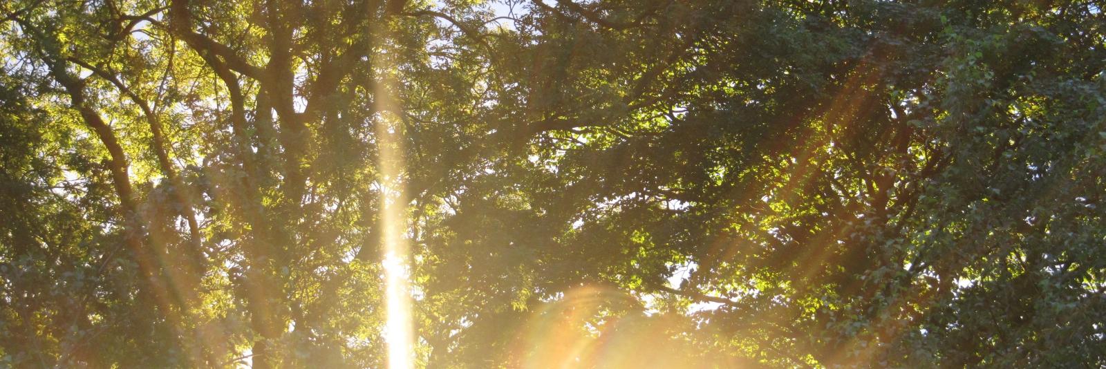 bethboothy's profile banner image