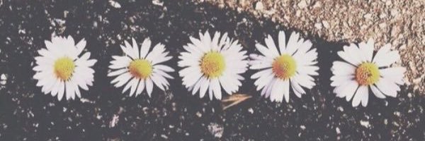 beachfrk1's profile banner image
