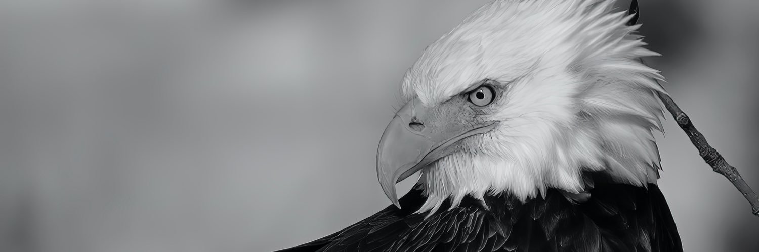ayaba_mh's profile banner image