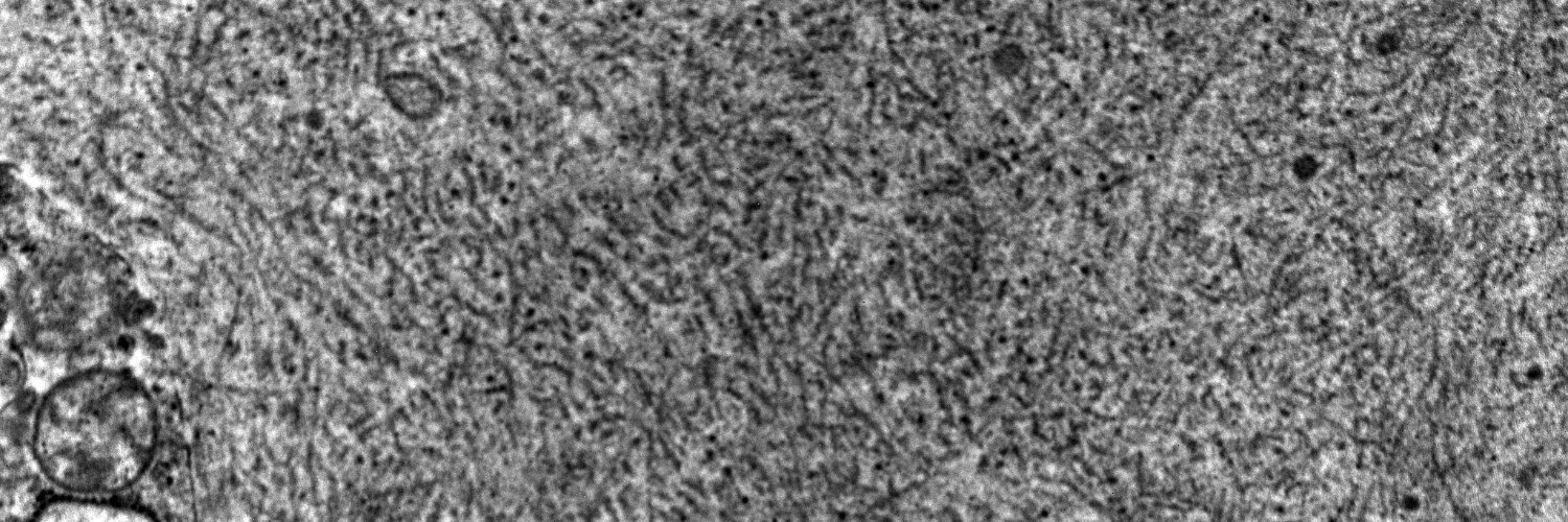 Pediatric Nephrology banner