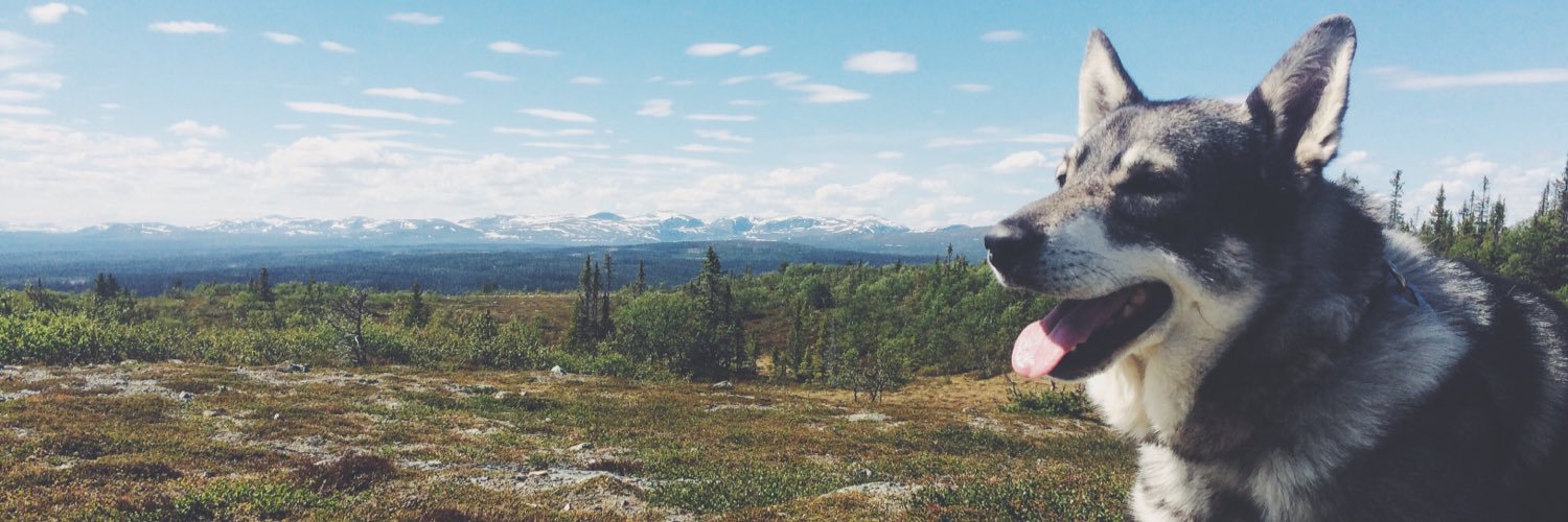 linaadillner's profile banner image