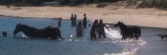 .michelle bamborough banner