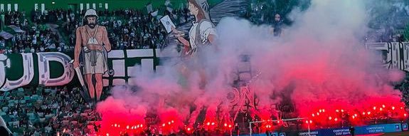 Harrie de Vries/Hoogeland Catering 💚🤍 banner