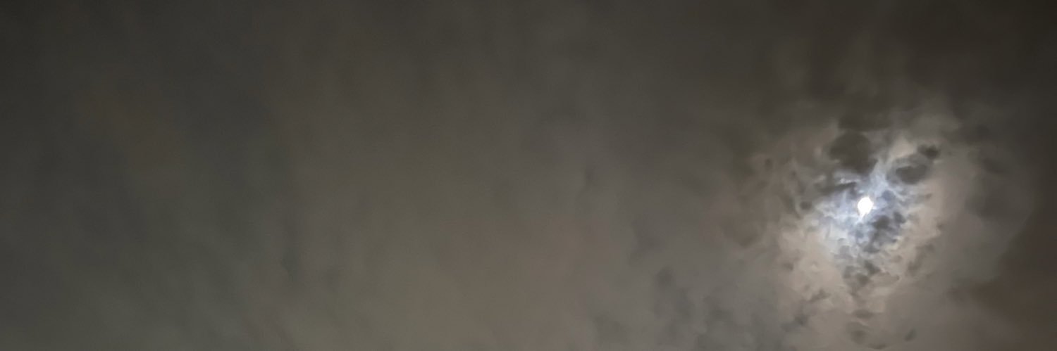 ADEL0ALGHAMDI's profile banner image