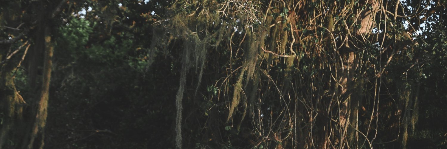 thethay0's profile banner image