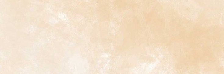 thvalavi's profile banner image