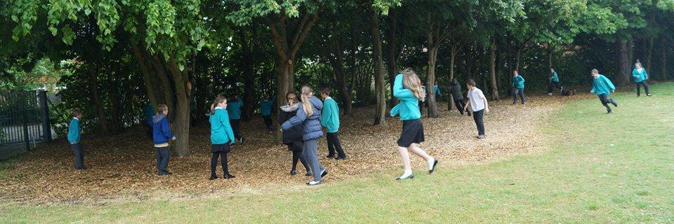Oakwood_Primary's profile banner image