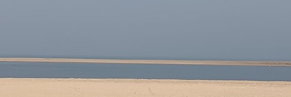 freydischors Profile Banner