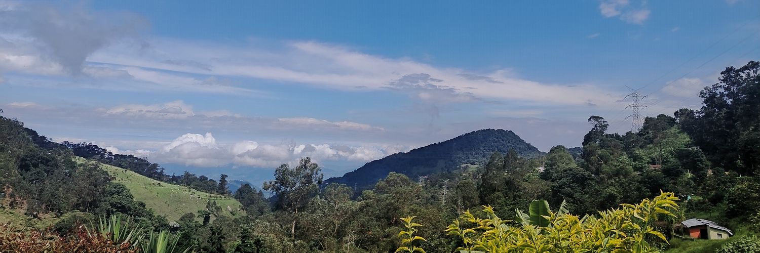 NataliaMillane's profile banner image