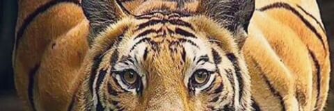 davidgamboa23's profile banner image
