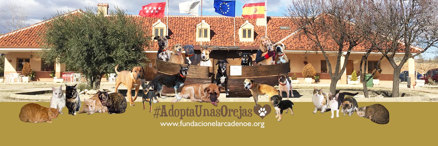 Fundación el Arca de Noé banner