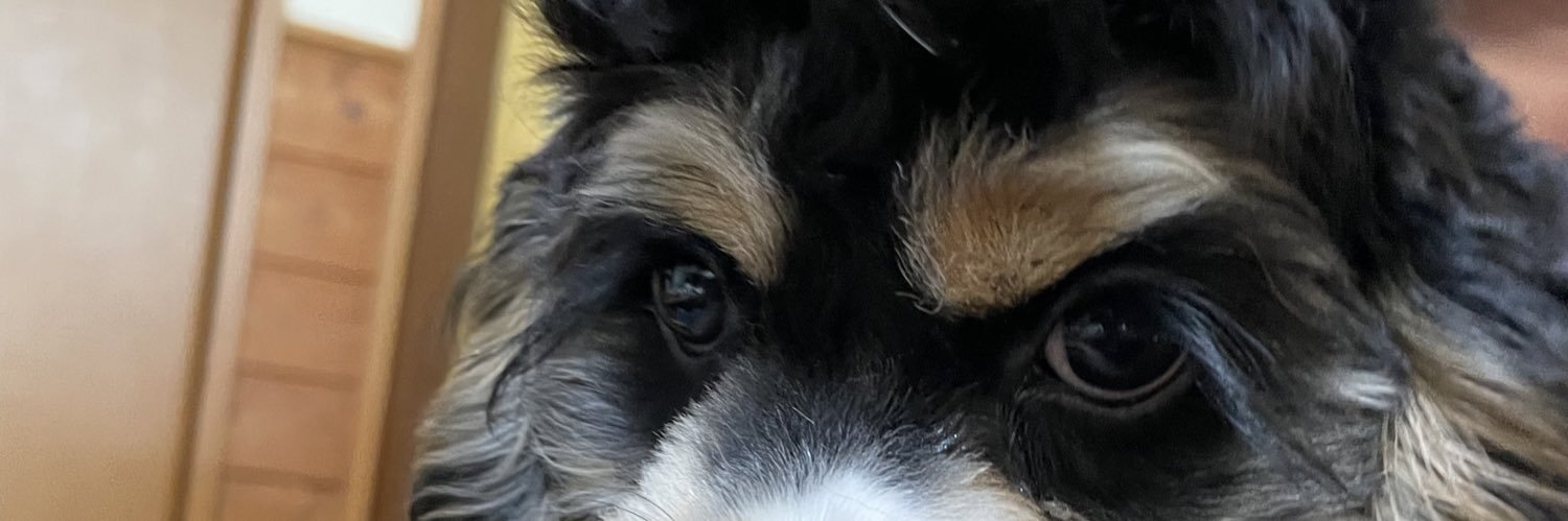 tmiton1118's profile banner image