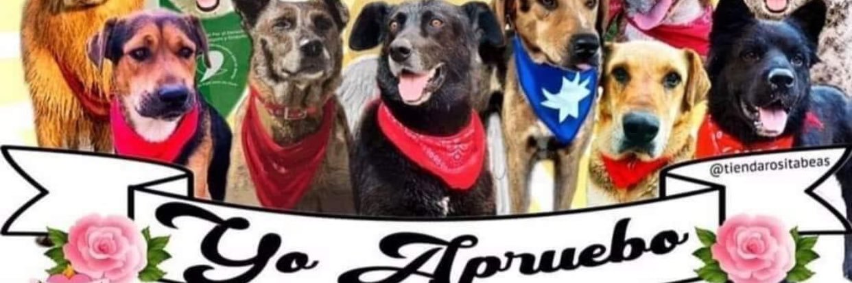 Pablo Reyes C. banner