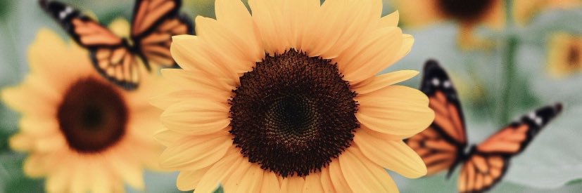 ___itschrissy's profile banner image