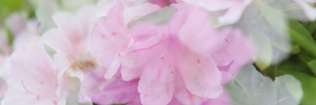 igatti315's profile banner image