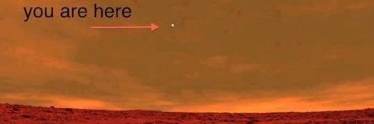 Edward Bender, MD banner