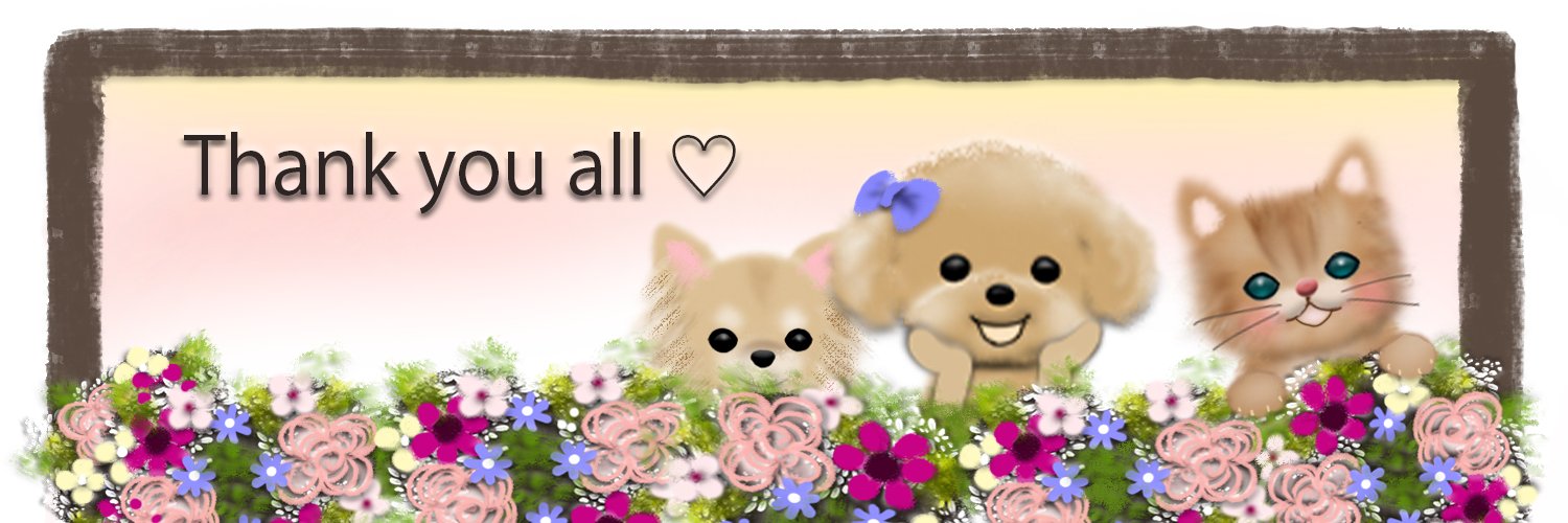 MERTUDE's profile banner image