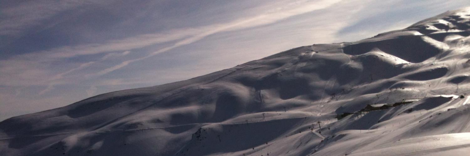 Sophie Steenstrup banner