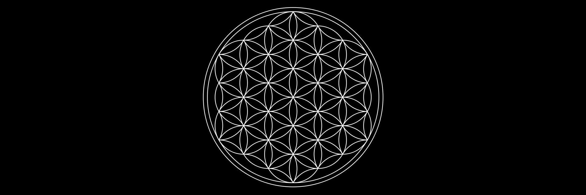 MachineElvesUK's profile banner image