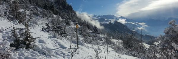 HazelRidgers Profile Banner