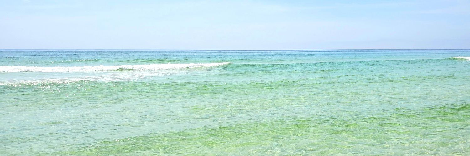 TheAwkoTurtle's profile banner image