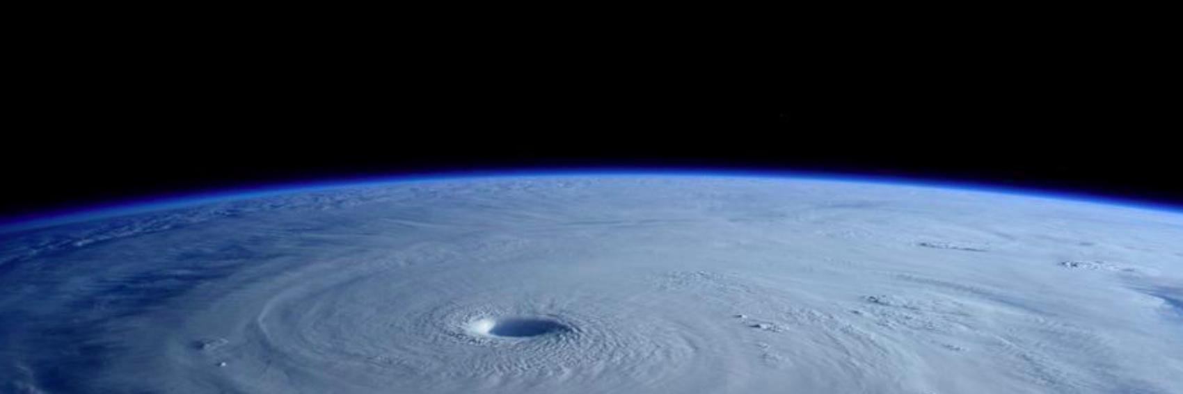 T "this site's run by a nazi & you shd move on" B banner