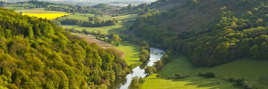 ReallyRuralCo banner