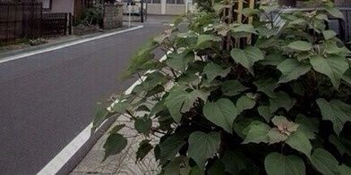 lordsgdr's profile banner image