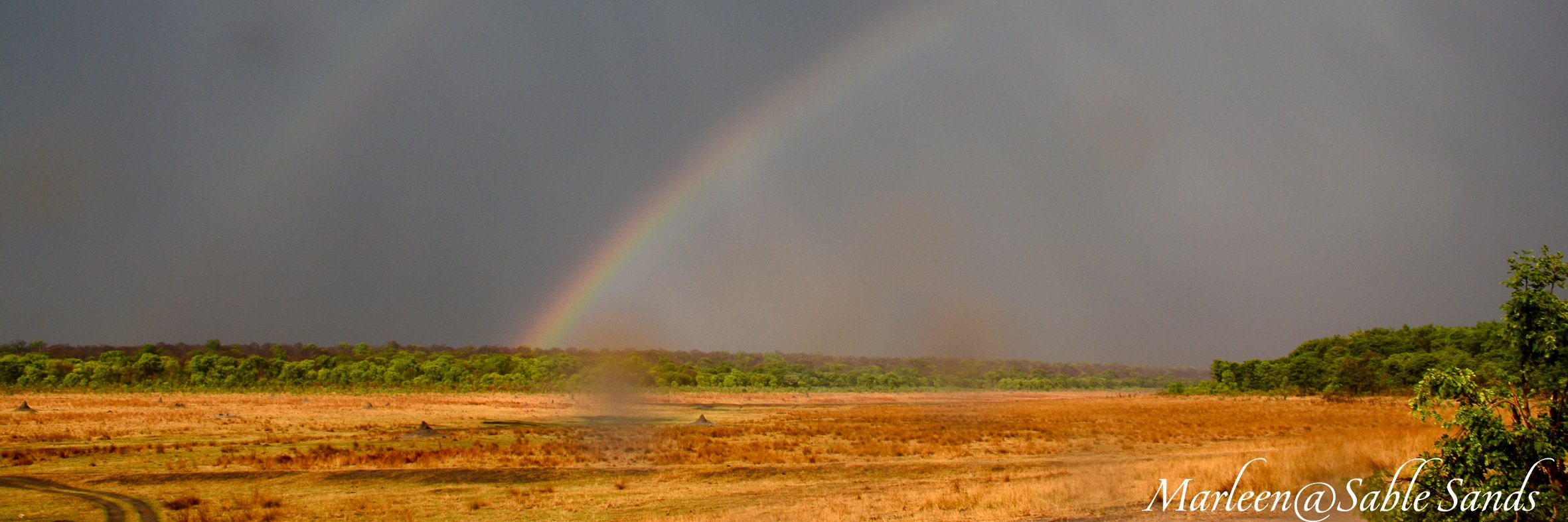 SableSands's profile banner image