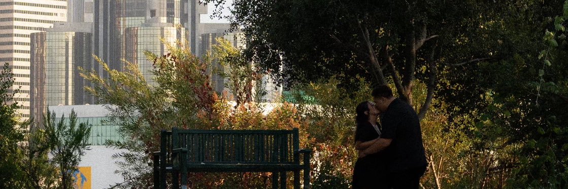 sryems's profile banner image